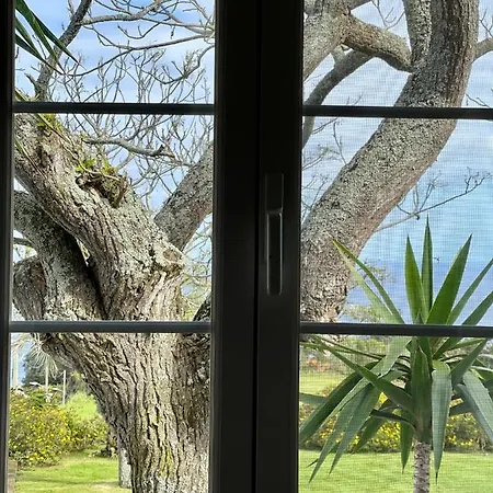 Landhaus Casa De Pilatos